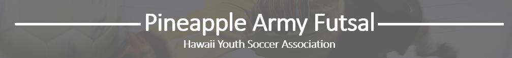 Pineapple Army Futsal banner